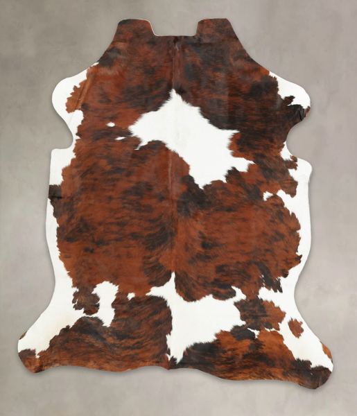 Tricolor Cowhide Rug #B5734