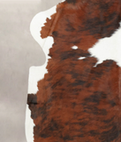Tricolor Cowhide Rug #B5734