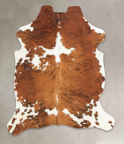 Tricolor Cowhide Rug #B5735