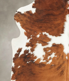 Tricolor Cowhide Rug #B5735