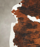 Tricolor Cowhide Rug #B5736