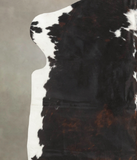 Tricolor Cowhide Rug #B5753