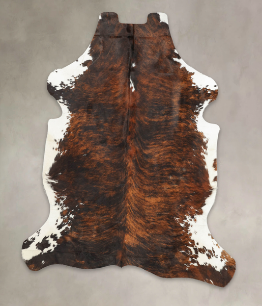 Tricolor Cowhide Rug #B5800