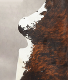 Tricolor Cowhide Rug #B5800