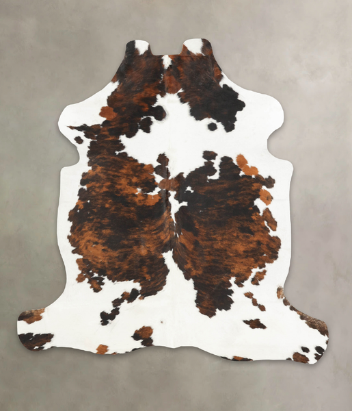 Tricolor Cowhide Rug #B5804
