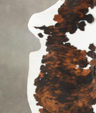 Tricolor Cowhide Rug #B5804