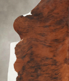 Tricolor Cowhide Rug #B5832