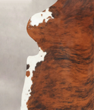 Tricolor Cowhide Rug #B5836