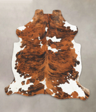 Tricolor Cowhide Rug #B5869