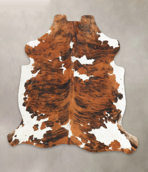 Tricolor Cowhide Rug #B5869