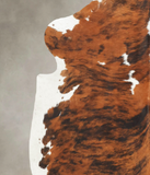 Tricolor Cowhide Rug #B5869