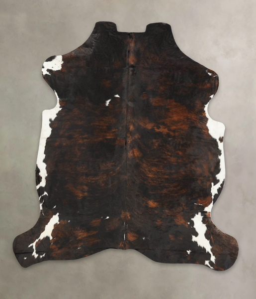 Tricolor Cowhide Rug #B5893