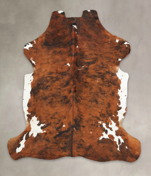 Tricolor Cowhide Rug #B5896