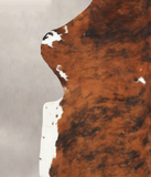 Tricolor Cowhide Rug #B5896