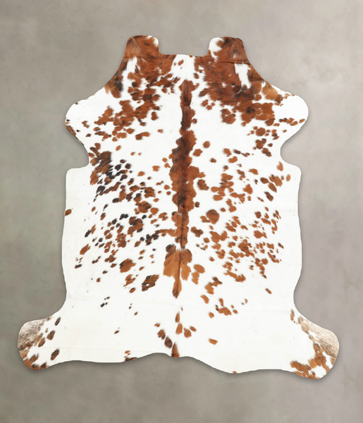 Tricolor Cowhide Rug #B5911