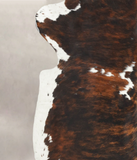 Tricolor Cowhide Rug #B5915