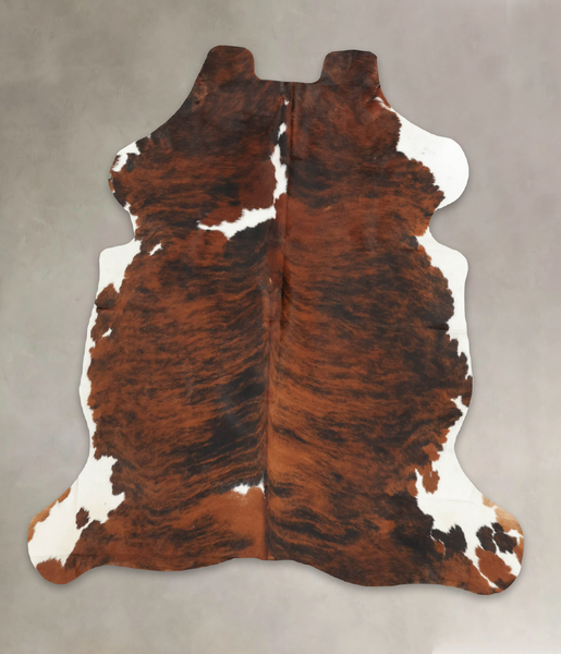 Tricolor Cowhide Rug #B5917