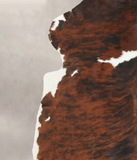Tricolor Cowhide Rug #B5917