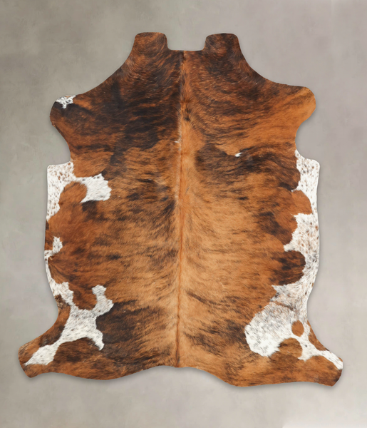 Tricolor Cowhide Rug #B5922
