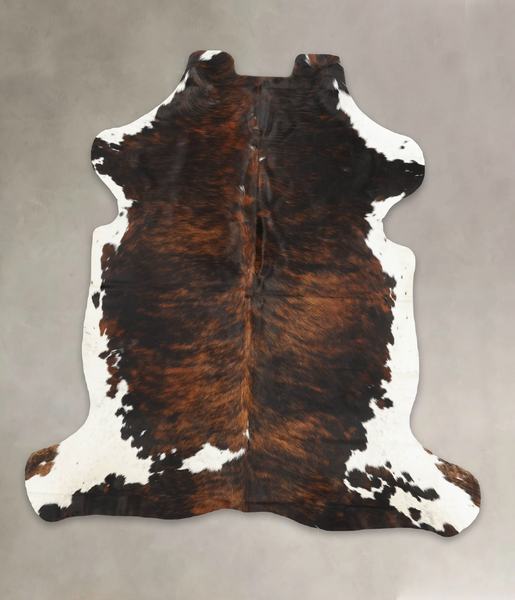 Tricolor Cowhide Rug #B5925