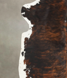 Tricolor Cowhide Rug #B5925