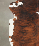 Tricolor Cowhide Rug #B5927