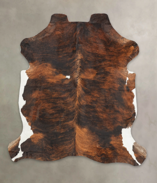 Tricolor Cowhide Rug #B5928