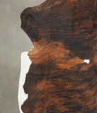 Tricolor Cowhide Rug #B5928