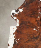 Tricolor Cowhide Rug #B5930