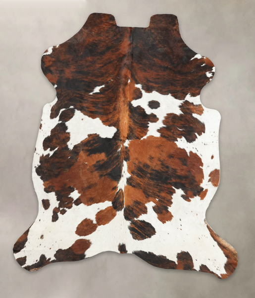 Tricolor Cowhide Rug #B5941