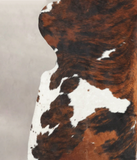 Tricolor Cowhide Rug #B5941