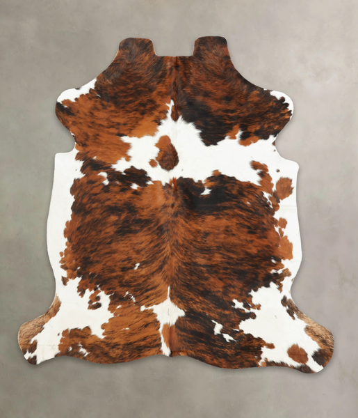 Tricolor Cowhide Rug #B5950