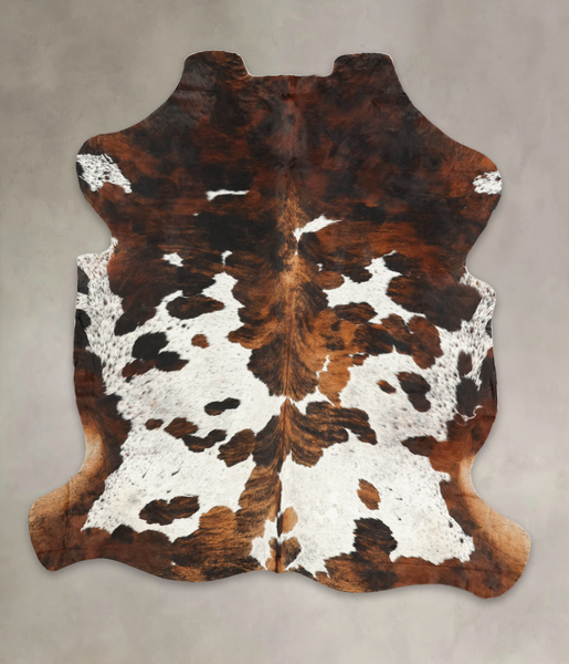 Tricolor Cowhide Rug #B5951