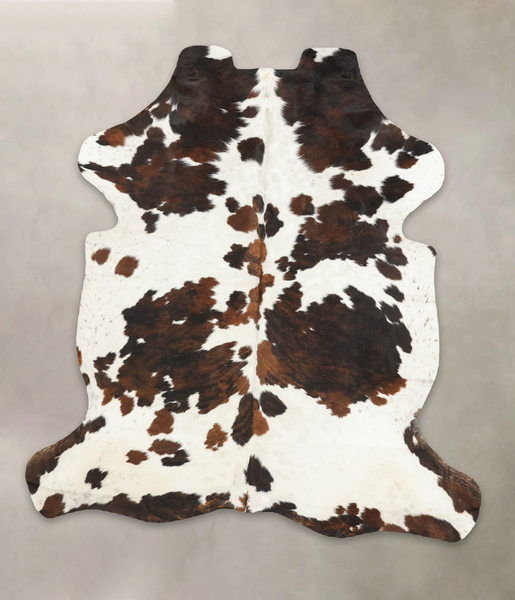 Tricolor Cowhide Rug #B5953
