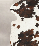 Tricolor Cowhide Rug #B5953