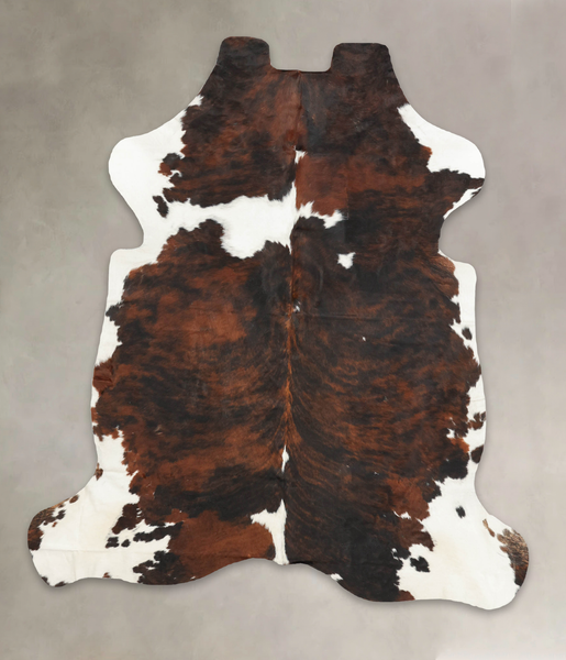 Tricolor Cowhide Rug #B5958