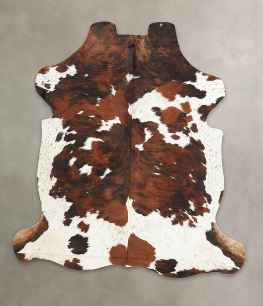 Tricolor Cowhide Rug #B5961