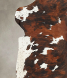 Tricolor Cowhide Rug #B5961
