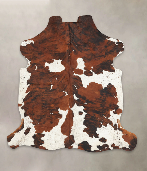 Tricolor Cowhide Rug #B5974