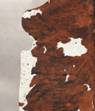 Tricolor Cowhide Rug #B5974
