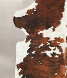 Tricolor Cowhide Rug #B5979