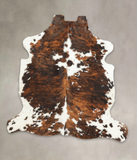 Tricolor Cowhide Rug #B5982