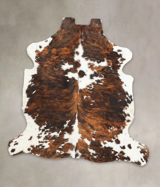 Tricolor Cowhide Rug #B5982