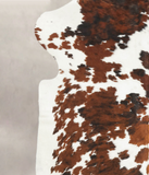 Tricolor Cowhide Rug #B5984