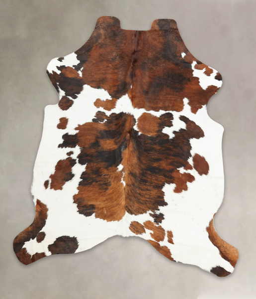 Tricolor Cowhide Rug #B5986