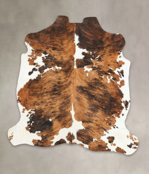 Tricolor Cowhide Rug #B5987
