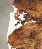 Tricolor Cowhide Rug #B5987