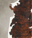 Tricolor Cowhide Rug #B5990