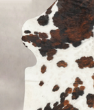 Tricolor Cowhide Rug #B5991