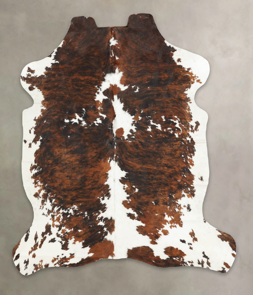 Tricolor Cowhide Rug #B5993